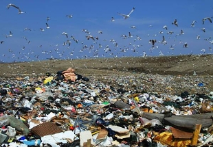 European - mnostv odpad z obal kles