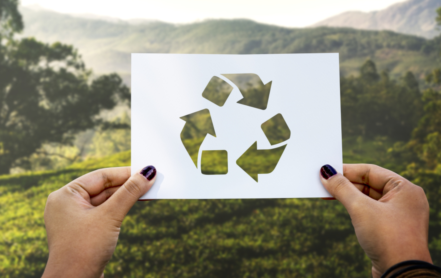 V esku vznikla aliance pro podporu recyklace. Zamuje se na poslen a rozen udritelnosti.