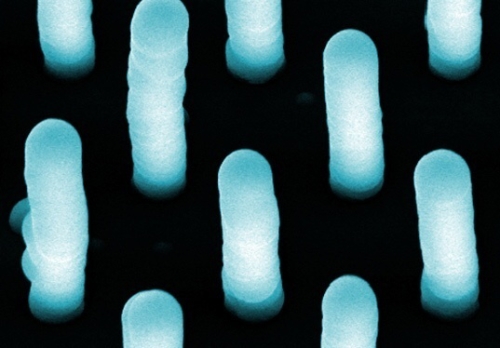 Obr. 6 Usporiadanie nanotrub&iacute;c u materi&aacute;lu Buckypaper