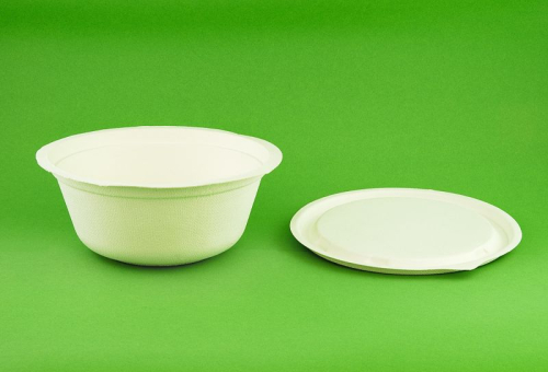 bioplasty bioplasty
