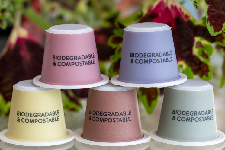 Ampacet - masterbatch, aditiva plastů, kompostovateln&eacute; plasty